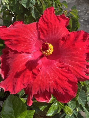 Send your best photos from Maui County to mauiphotos@mauinews.com for a chance to see them featured on our website and in our weekly print edition.